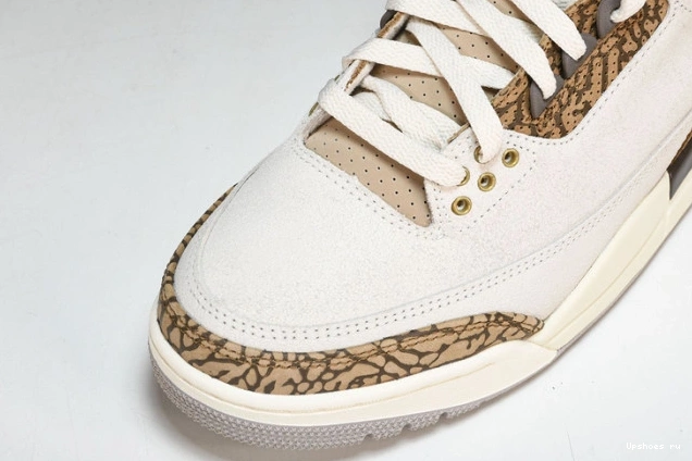 Jordan Palomino Retro   CT8532-102 3 0706